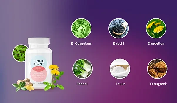 PrimeBiome ingredients